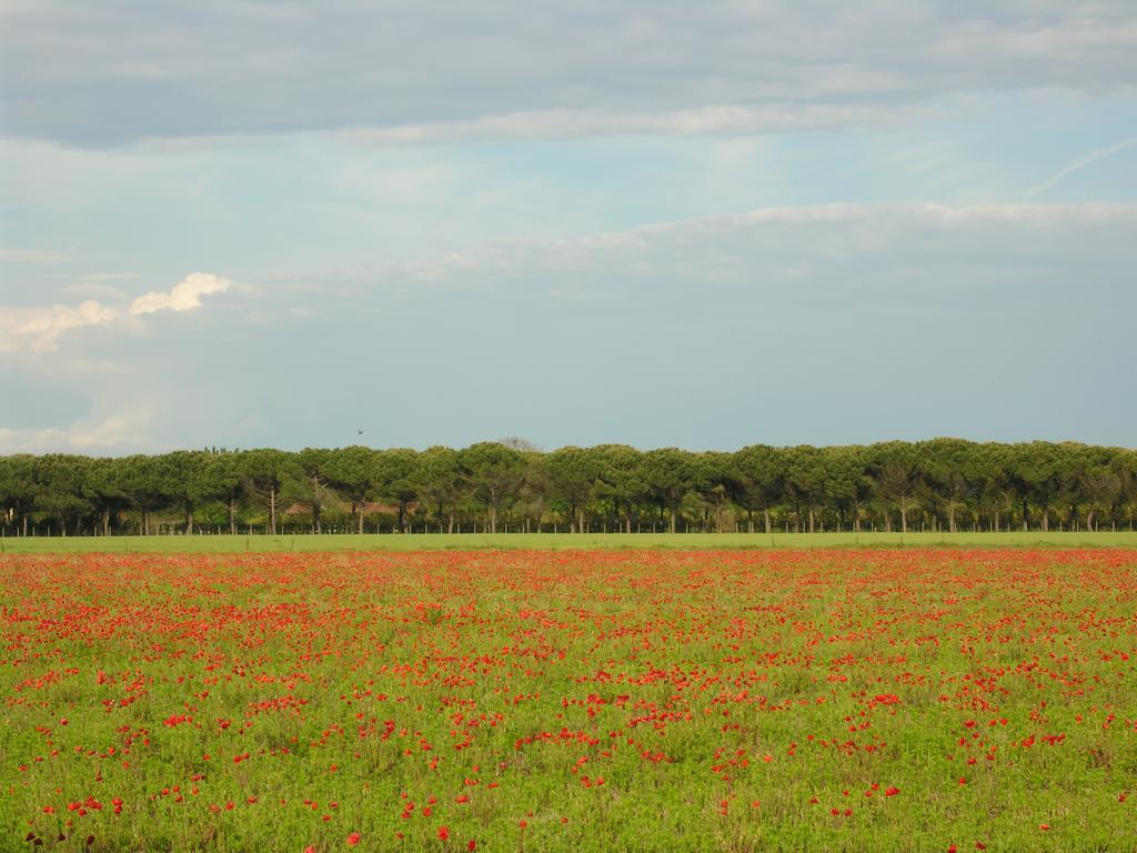 Appartamenti Villaggio San Siro Bibione Exterior photo